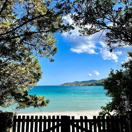 Canella 4* Сари-Соленцара