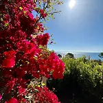 Canella 4*