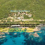 Canella