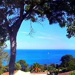 Canella