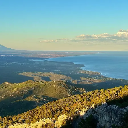 Canella Sari Solenzara