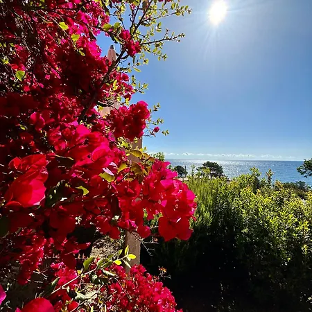 Canella 4*