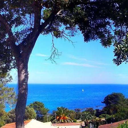 Canella