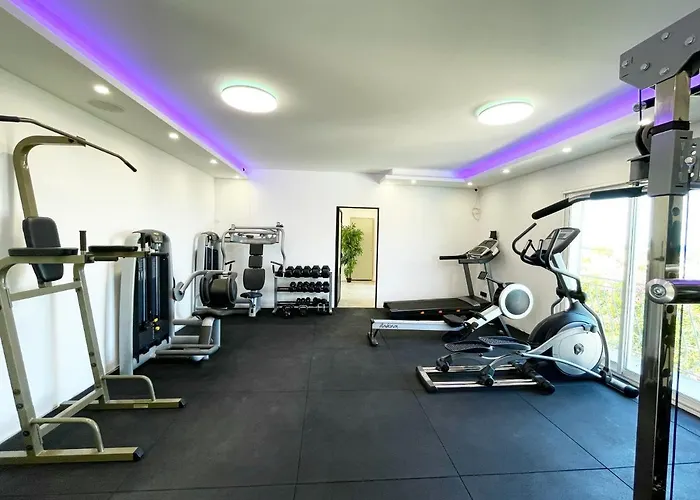 Canella Sari Solenzara