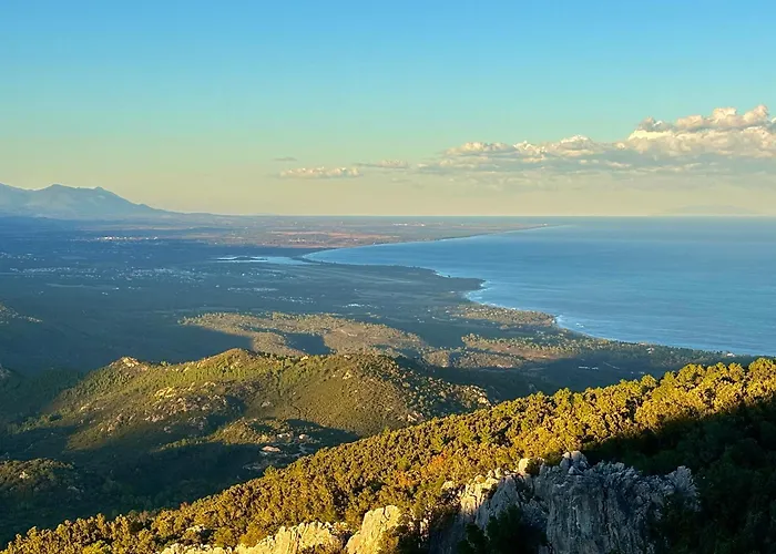 Canella Sari-Solenzara