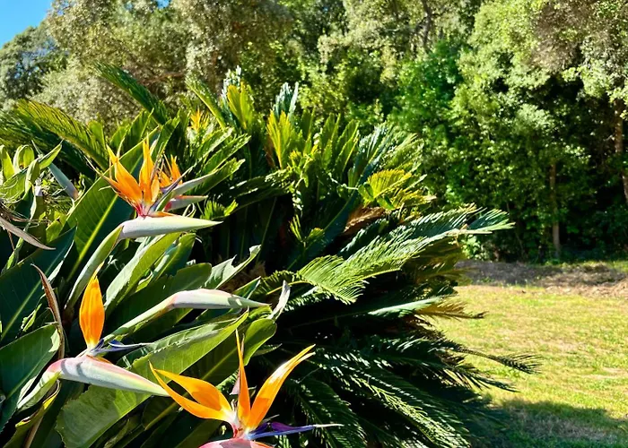 מלון דירות Canella 4*